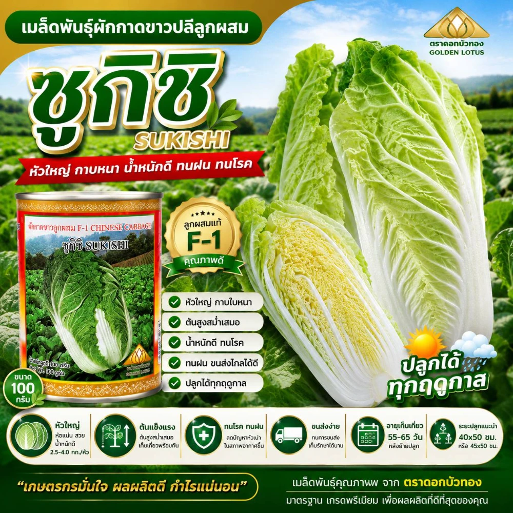 เมล็ดพันธุ์ผักกาดขาวลุ้ย ซูกิชิ ขนาด 100 กรัม