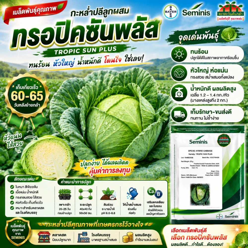 เมล็ดพันธุ์กะหล่ำทรอปิคซันพลัส (Tropic Sun Plus) ขนาด 25 กรัม