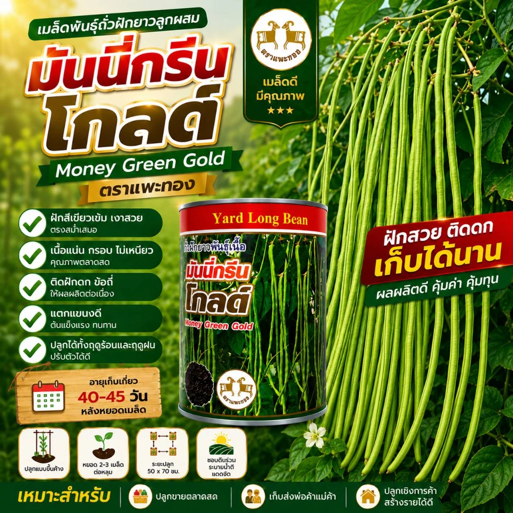 เมล็ดพันธุ์ถั่วฝักยาวมันนี่กรีนโกลด์ ขนาด 500 กรัม